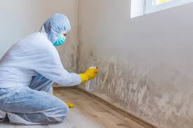 Trusted Old Stine, CA Mold Removal Experts